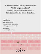 The Alpha-Arbutin 2 Discoloration Care Serum